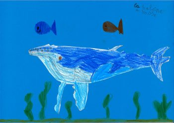 Dessin de Caroline