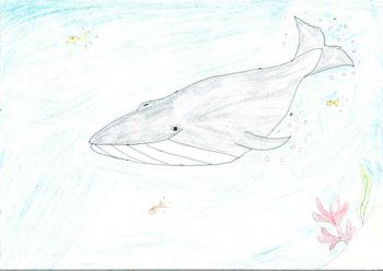 Dessin de Isabel