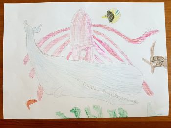 Dessin de Kataï