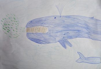 Dessin de Leo