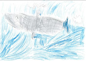 Dessin de Lucie