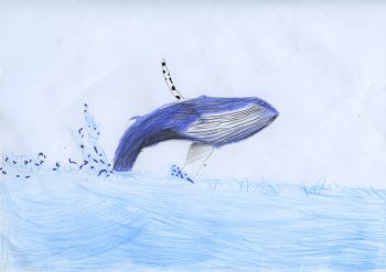 Dessin de Malo