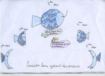 Dessin de Manoline