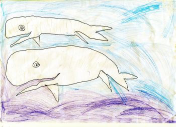 Dessin de Marius