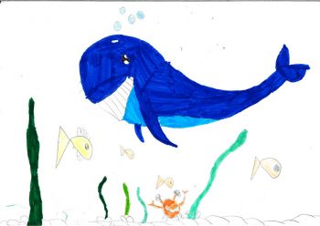 Dessin de Rafael