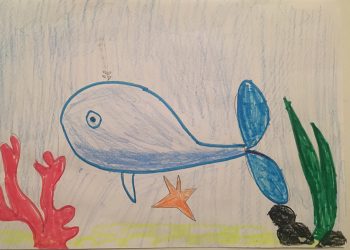 Dessin de Ryan