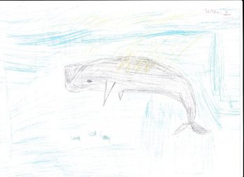 Dessin de Seren