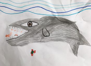 Dessin de Zéphyr