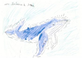 Dessin de Agnès