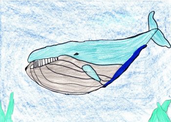 Dessin de Ellyn