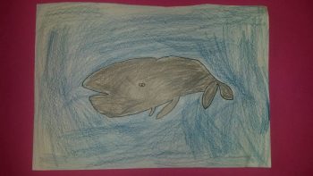 Dessin de Lindsey