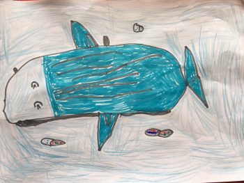 Dessin de Tom