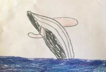 Dessin de Maxime