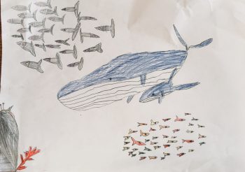 Dessin de Jules