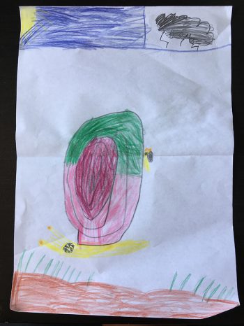 Dessin de Louis