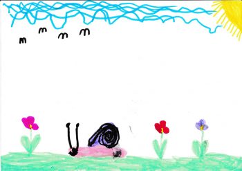 Dessin de lily