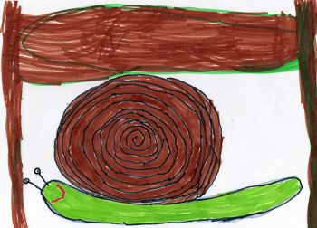 Dessin de Rose