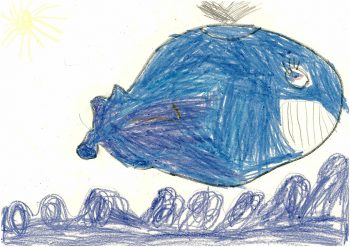 Dessin de Ylhan