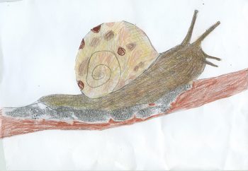 Dessin de Elvire et Léon