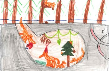 Dessin de Aubin