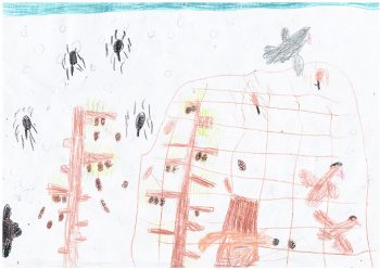 Dessin de Marius