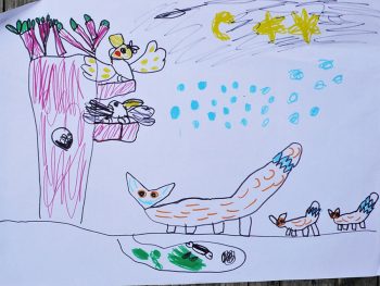 Dessin de Sterenn