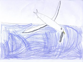 Dessin de Méril