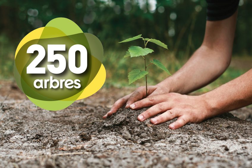 Campagne_250Arbres