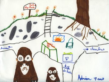 Dessin de Adrian