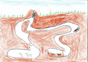 Dessin de Elio