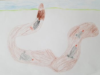 Dessin de Grégory