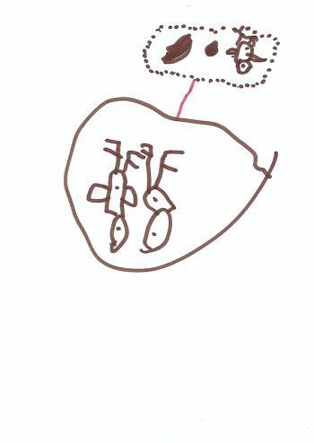 Dessin de Mélodie