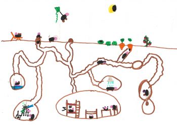 Dessin de Lilou