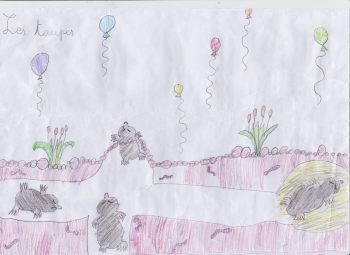 Dessin de BENECHET