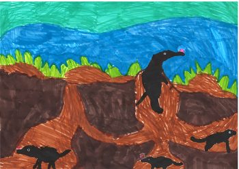 Dessin de Thibaud