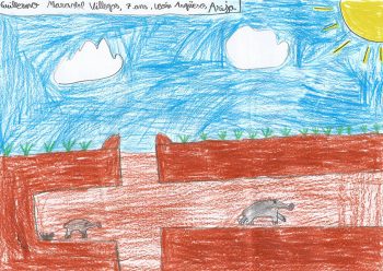 Dessin de Guillermo