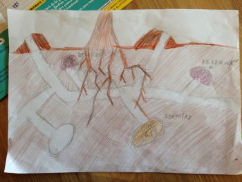 Dessin de illan