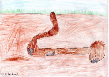 Dessin de Maëlle
