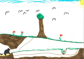 Dessin de Lucie