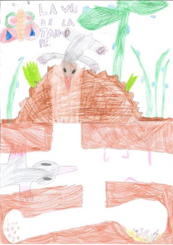 Dessin de Linoa