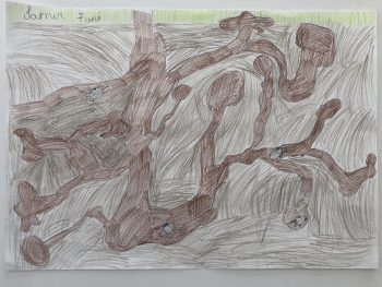Dessin de Samir