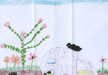Dessin de Leïla