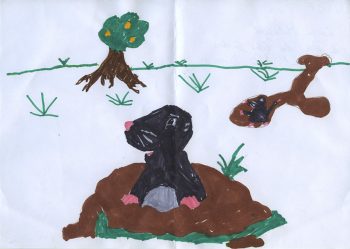 Dessin de Luiza