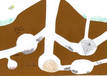 Dessin de Mahaut-