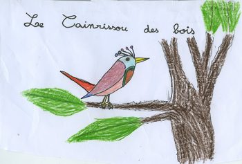 Dessin de Robin