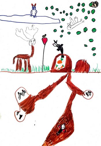 Dessin de Robin