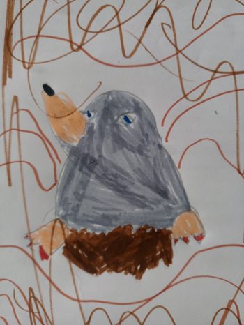 Dessin de Elsa