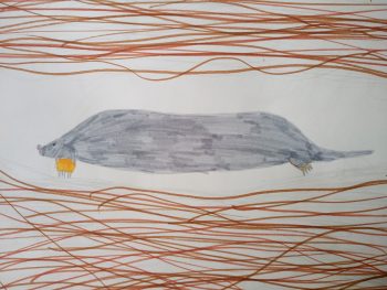 Dessin de Manon