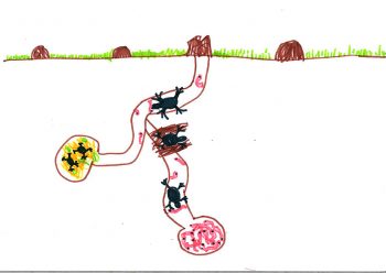 Dessin de Louis