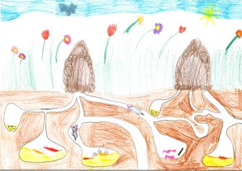 Dessin de Léa